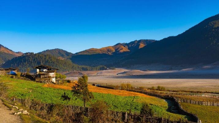 How to Experience Luxury Bhutan Tours Without Breaking the Bank